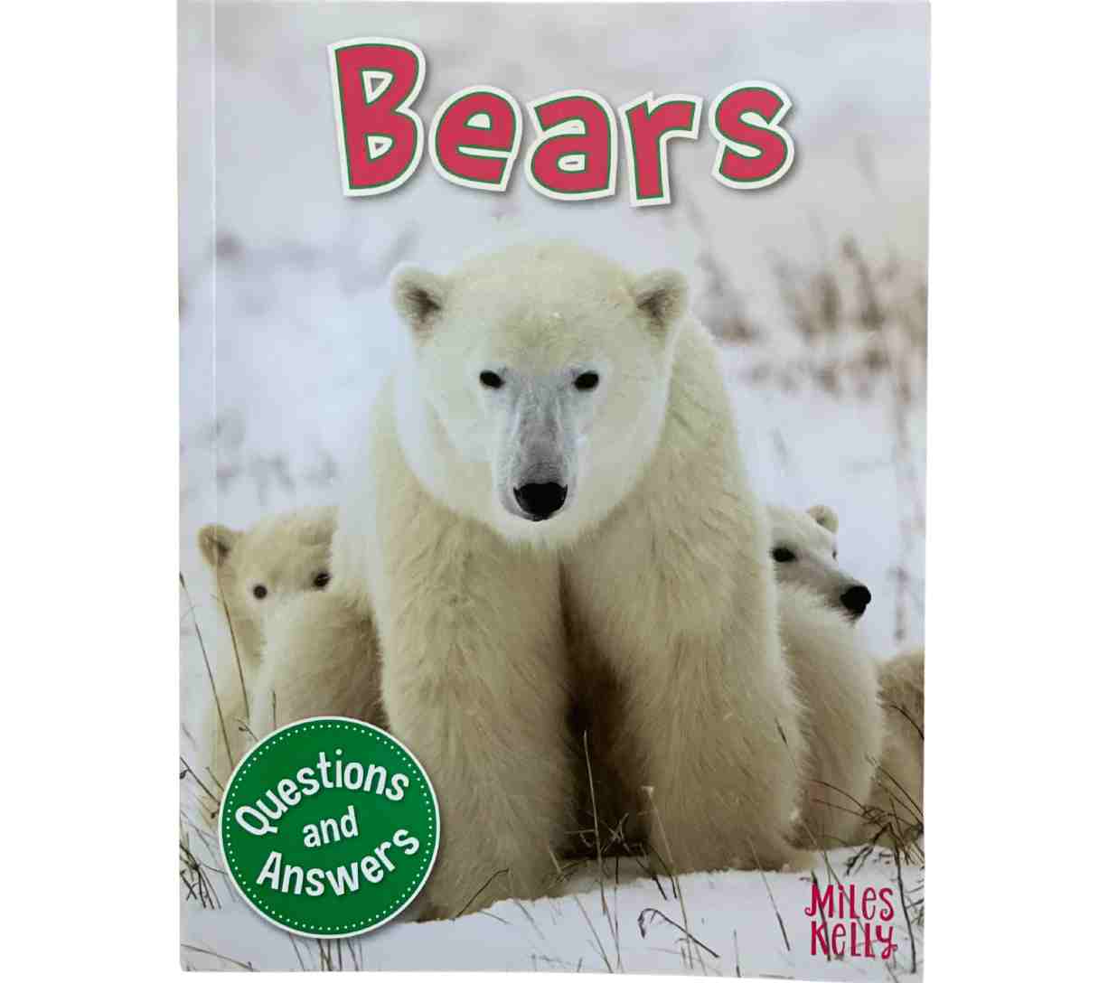 Bears (Questions and Answers)