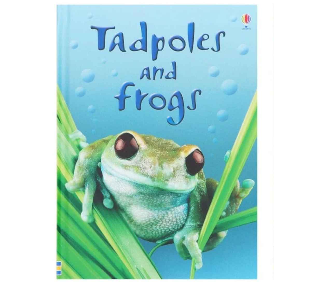 Usborne Phonics - حشرة في سجادة