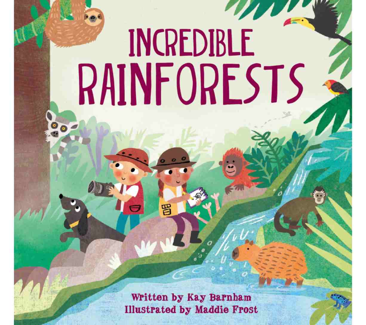 الغابات المطيرة المذهلة