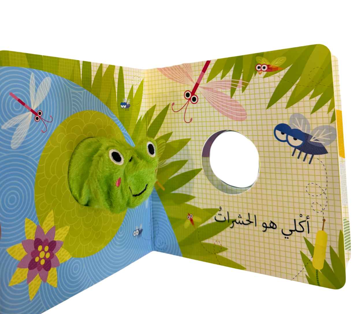 أنا الضفدع - بيت دمى الحيوانات