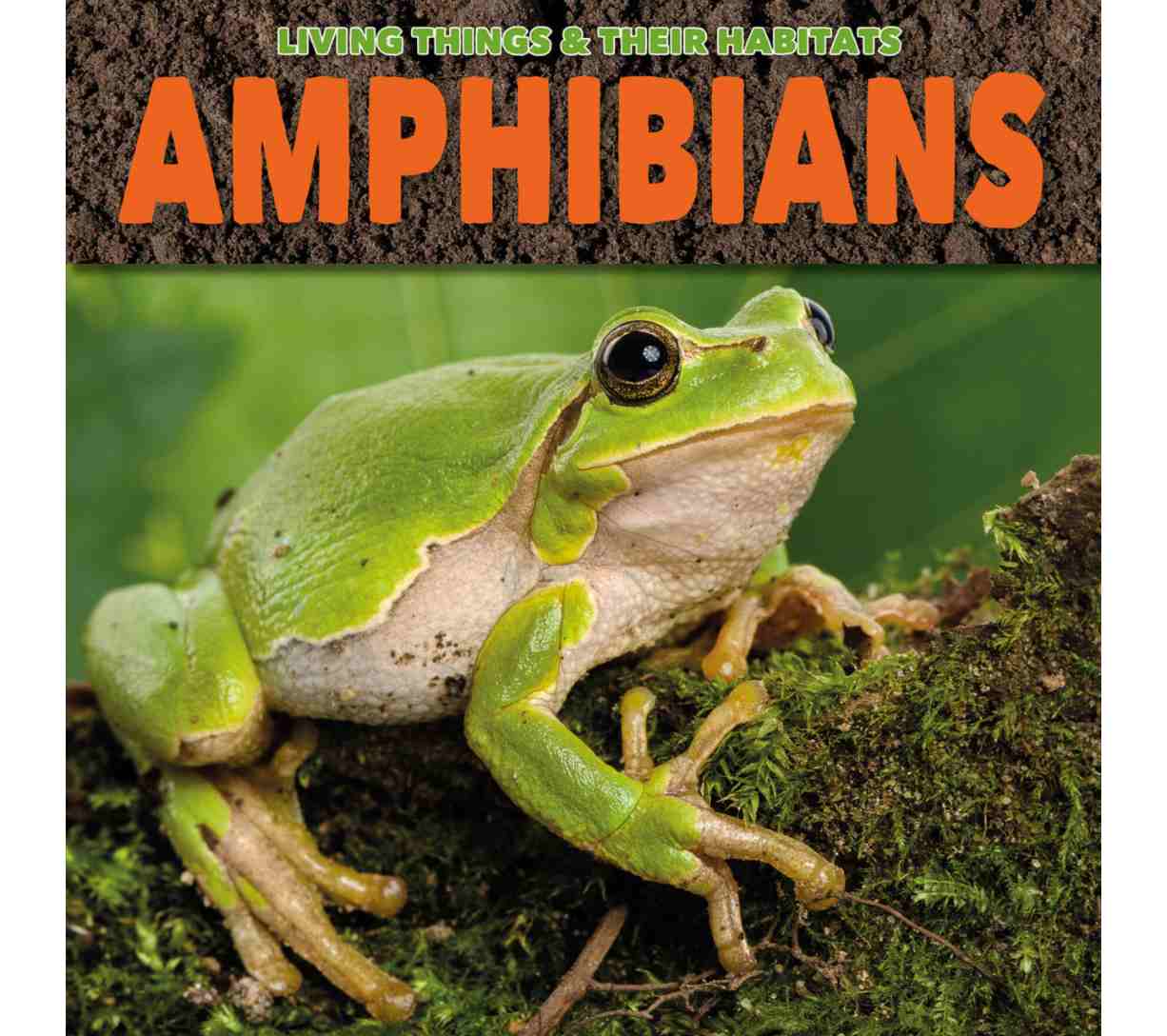 الكائنات الحية وموائلها - البرمائيات (المرحلة الأساسية الأولى)