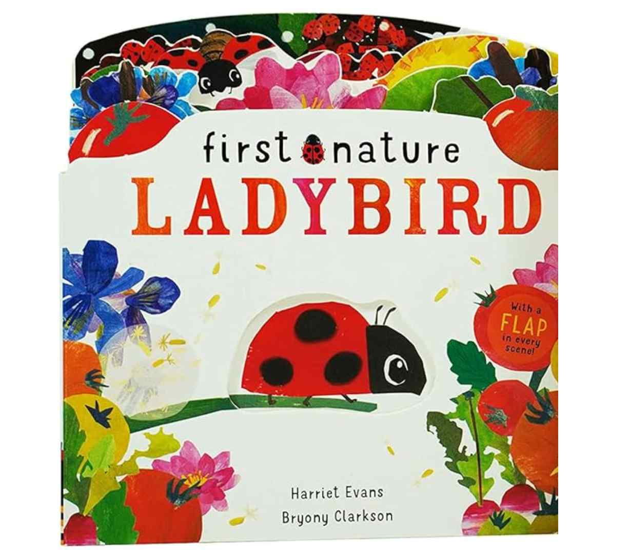 روالد دال 123