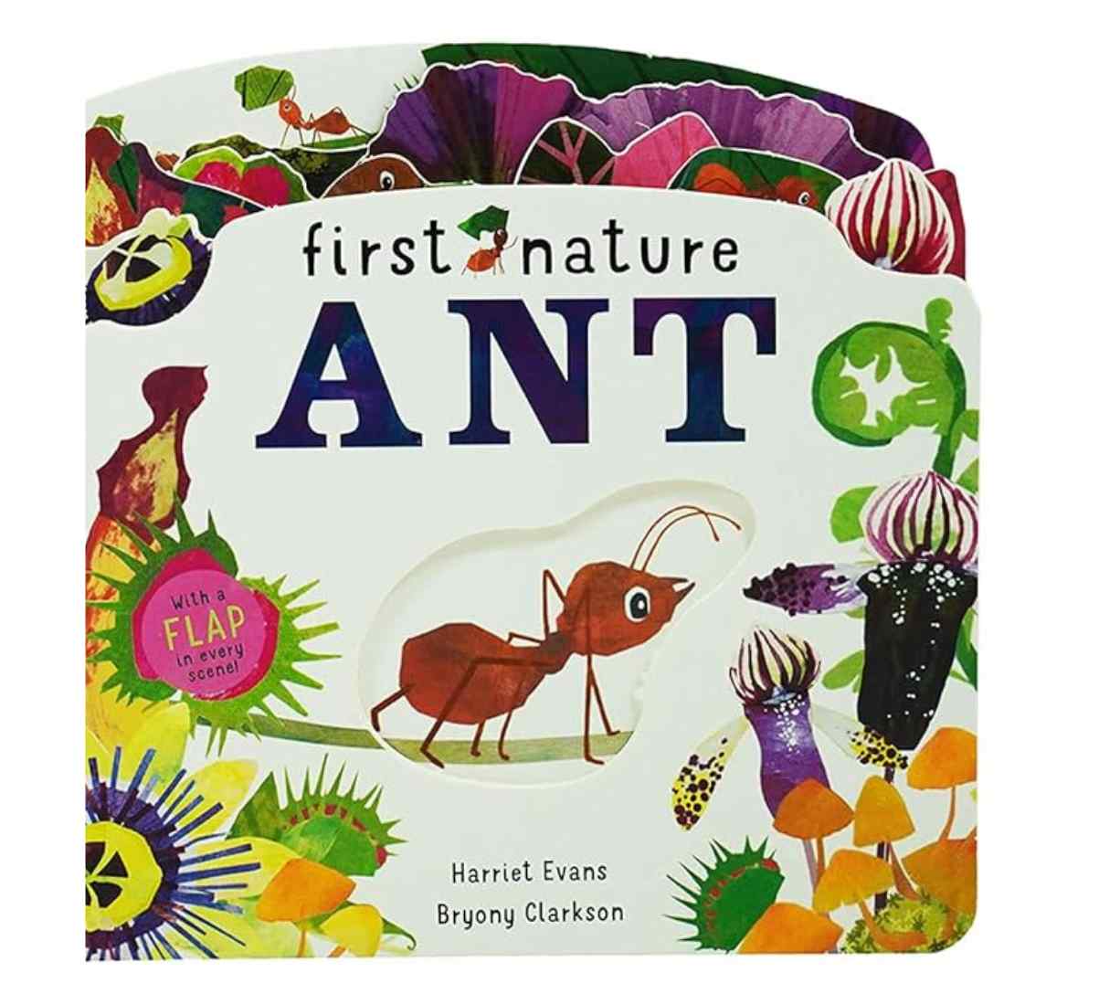 روالد دال 123