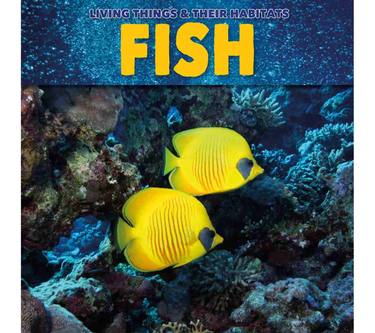 الكائنات الحية وموائلها - الأسماك (المرحلة الأساسية الأولى)