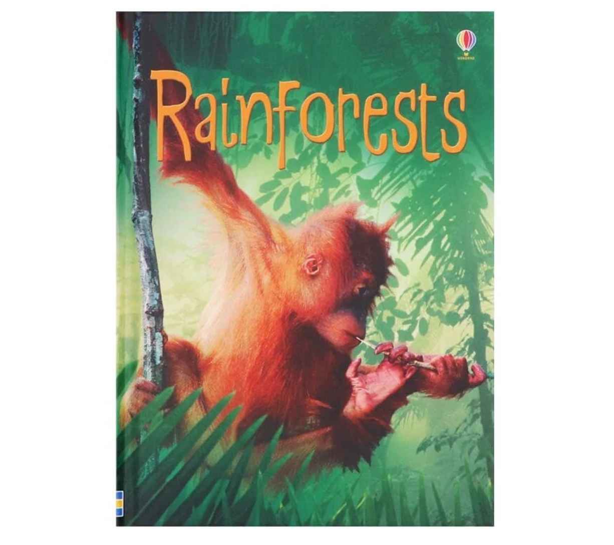 Usborne Phonics - حشرة في سجادة