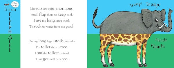 Axel Scheffler's Flip Flap Safari