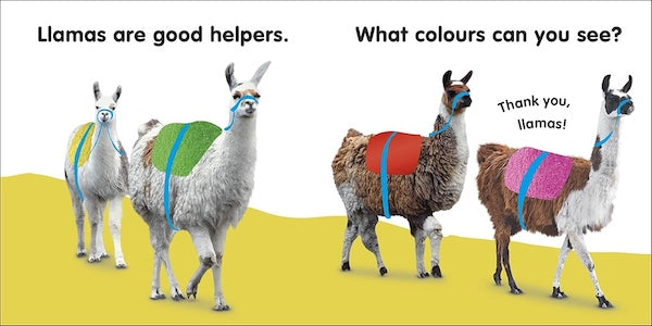 Baby Touch and Feel: Llama