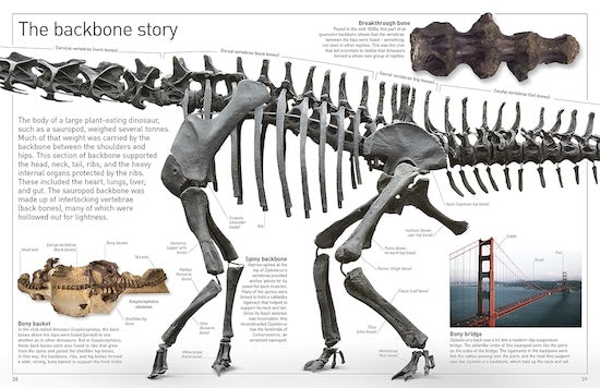 Dinosaur (Eyewitness)