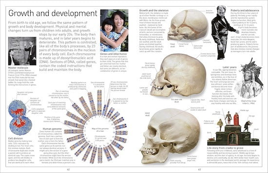 Human Body (Eyewitness)
