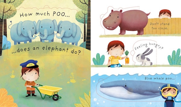 Lift-the-Flap: Very First Questions and Answers - What is Poo?