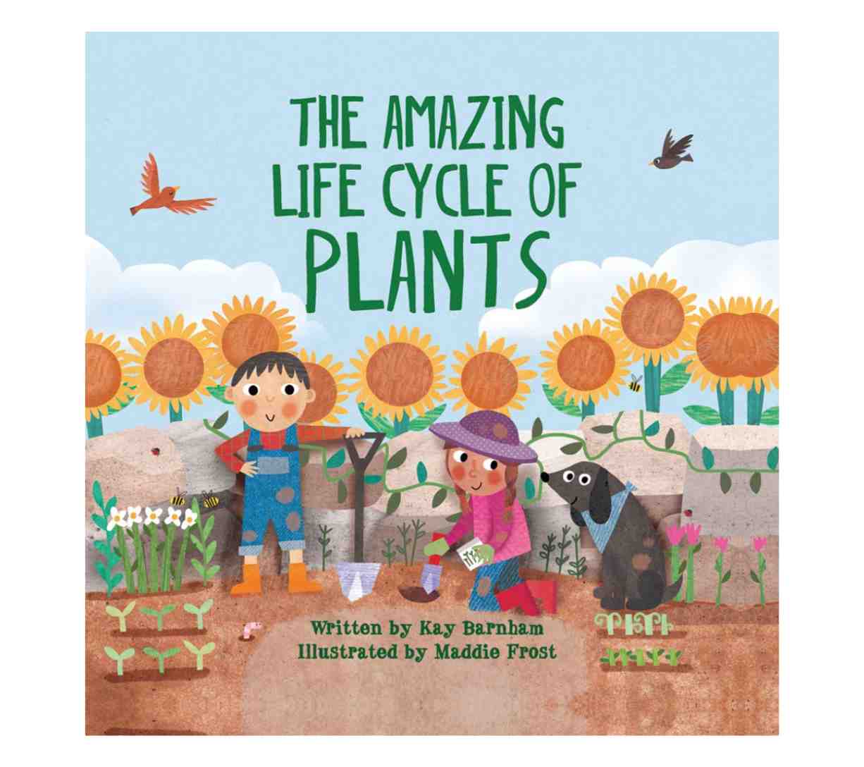 دورة حياة النباتات المذهلة