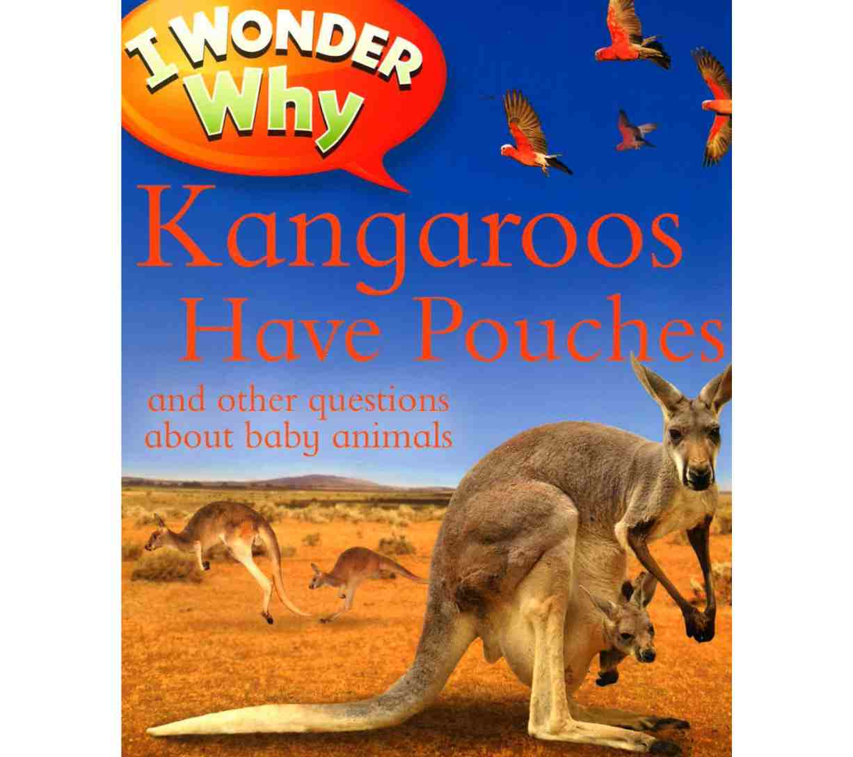 أتساءل لماذا يمتلك الكنغر أكياسًا وأسئلة أخرى حول الحيوانات الصغيرة