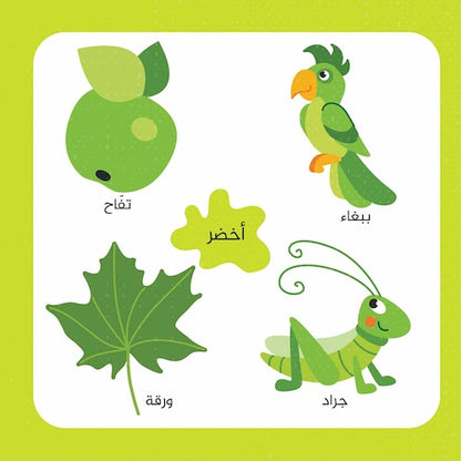 كلمات وألوان / كتاب بازل