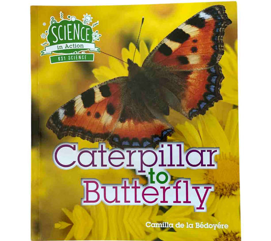 Science in Action KS1 - Caterpillar to Butterfly