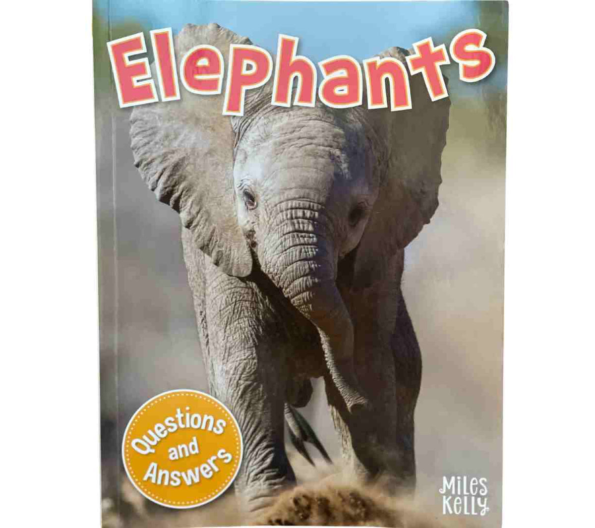 Questioning Elephant Elephants (Questions and Answers) – Benny's Books