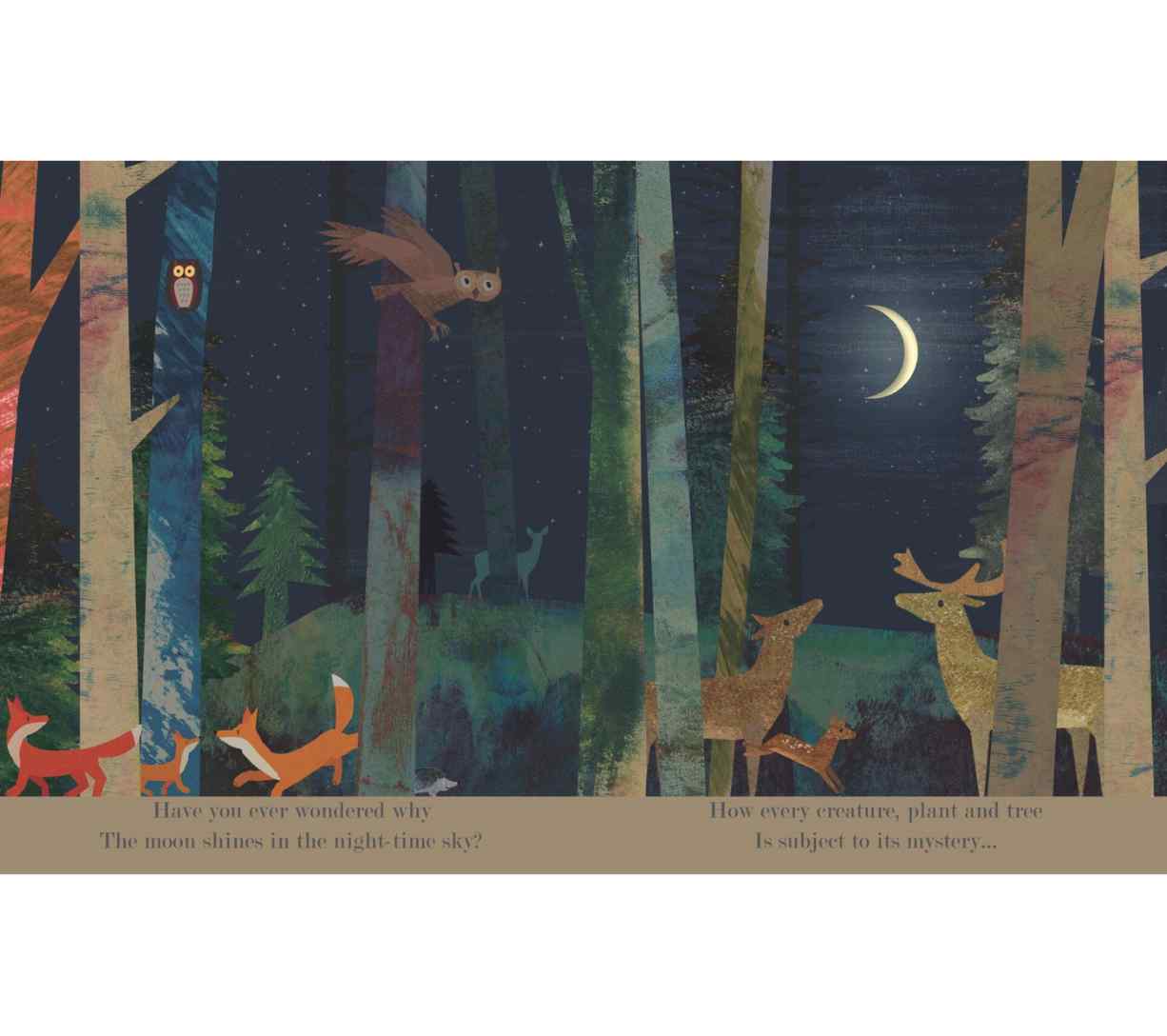 Moon: Night-Time Around the World