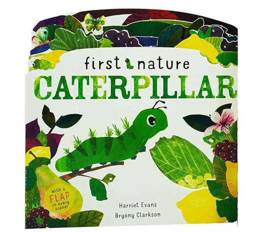 روالد دال 123