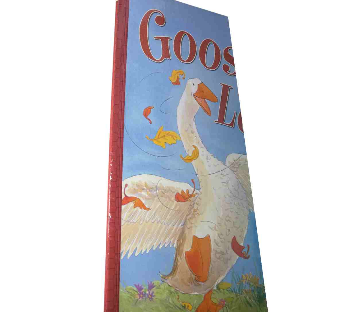 أوزة طليقة (مستعملة مسبقًا)