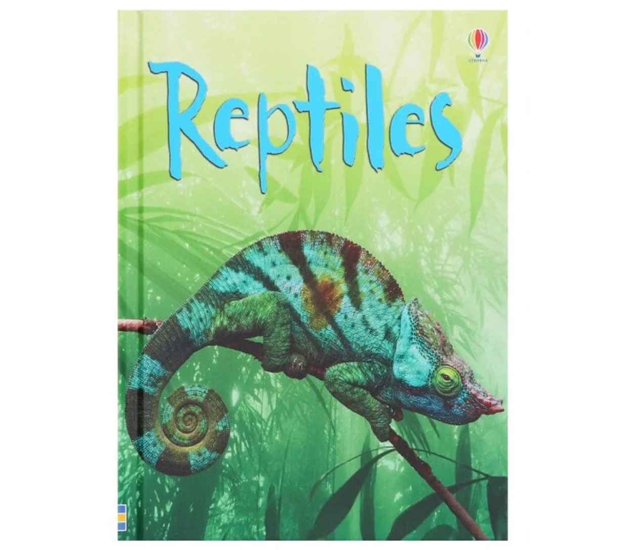 Usborne Beginners Nature: Reptiles