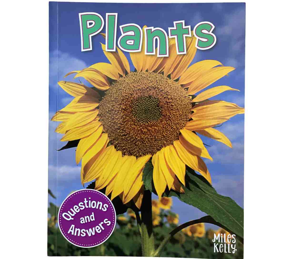 Plants (Questions and Answers)