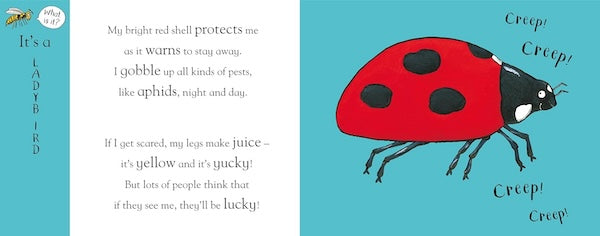 Axel Scheffler's Flip Flap Minibeasts