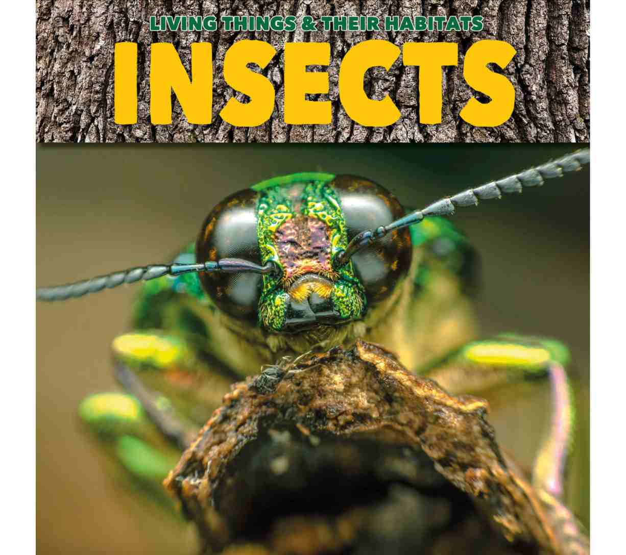 الكائنات الحية وموائلها - الحشرات (المرحلة الأساسية الأولى)
