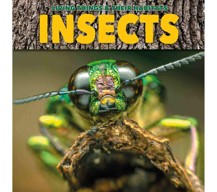Living Things and their Habitats - Insects (Key Stage 1) – Benny's Books