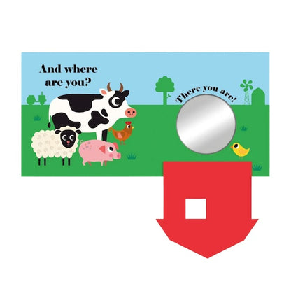 Where's Mrs Hen? (Felt Flaps and Mirror)