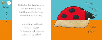 Axel Scheffler's Flip Flap Minibeasts