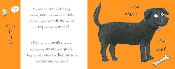 Axel Scheffler's Flip Flap Pets