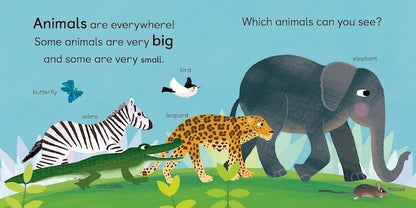 Zoology for Babies
