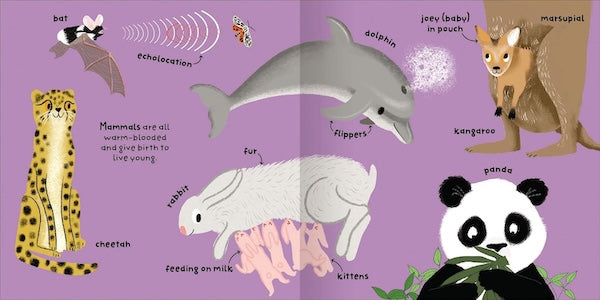 Animals (Big Words for Little Experts)