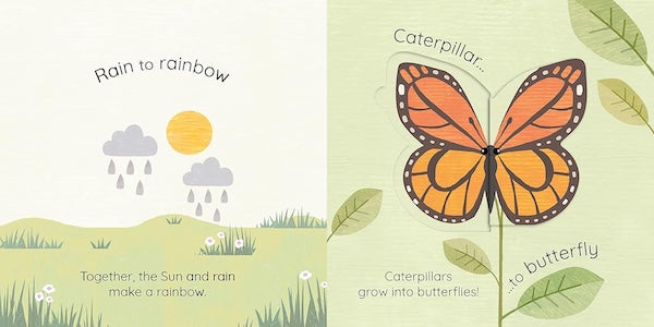 All Change (A Book of Nature's Transformations)