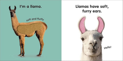 Baby Touch and Feel: Llama