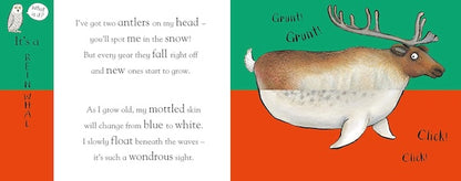 Axel Scheffler's Flip Flap Frozen