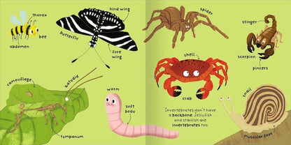 Animals (Big Words for Little Experts)