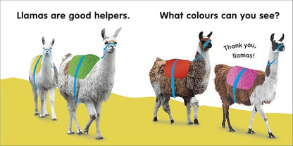 Baby Touch and Feel: Llama