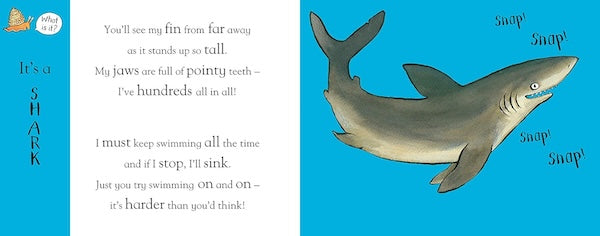 Axel Scheffler's Flip Flap Ocean