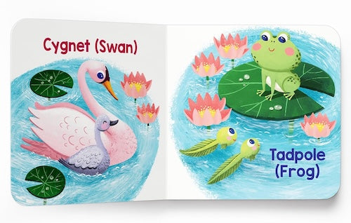 My First Baby Animal Boxed Set (Mini Box Set)