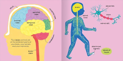 Body (Big Words for Little Experts)