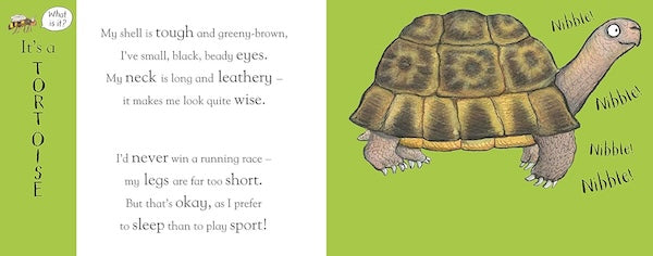 Axel Scheffler's Flip Flap Pets