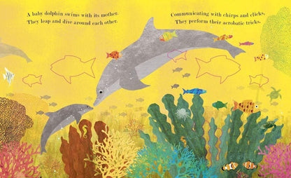 Sea: A World Beneath the Waves (Peek-Through Picture Book)