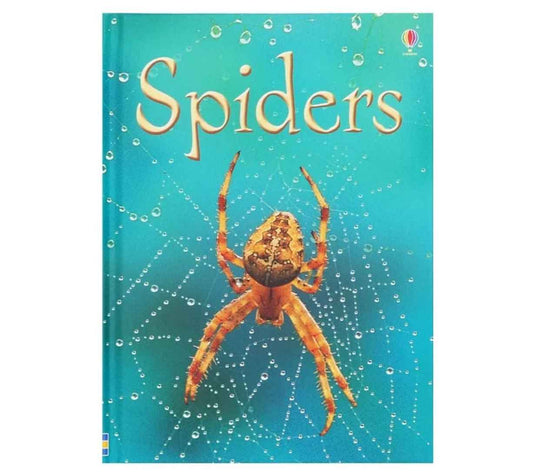 Usborne Beginners: Spiders