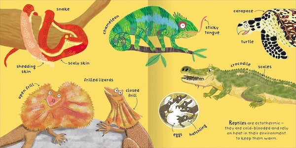 Animals (Big Words for Little Experts)