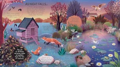 Look Inside Animal Homes