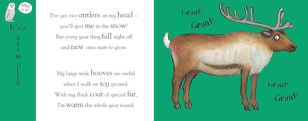 Axel Scheffler's Flip Flap Frozen