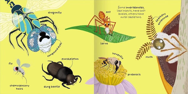 Animals (Big Words for Little Experts)