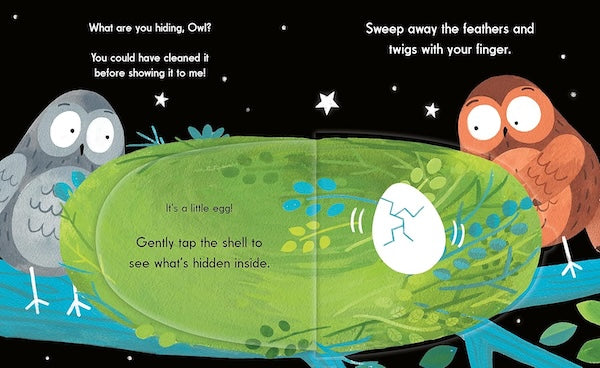 This Is Owl (A Flapping, Tapping, Clapping Interactive Book)