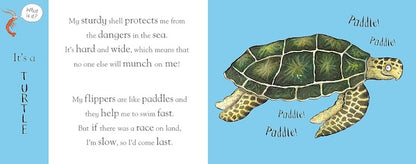 Axel Scheffler's Flip Flap Ocean