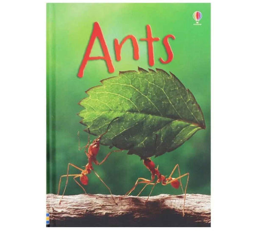 Usborne Beginners: Ants